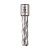 Фреза HSS 14x50мм Weldon 19мм Extra Line Diam 320307