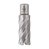 Фреза HSS 25x50мм Weldon 19мм Extra Line Diam 320318