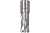 Фреза HSS 17x30мм Weldon 19мм Extra Line Diam 320286