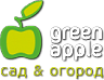 GREEN APPLE